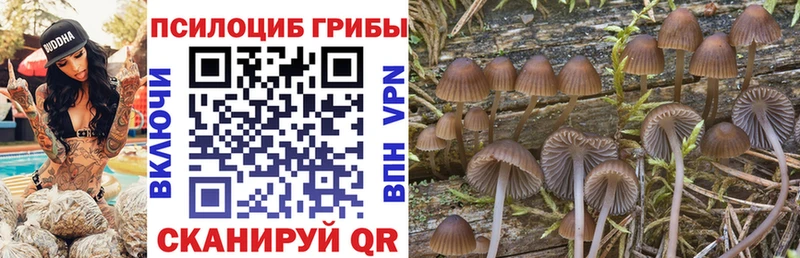 Галлюциногенные грибы Cubensis  Лебедянь 